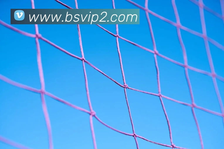 百胜彩票官网平台登录入口品牌故事