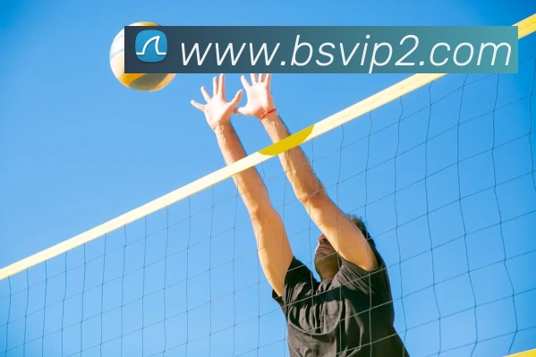 百胜彩票官网平台登录入口服务体系